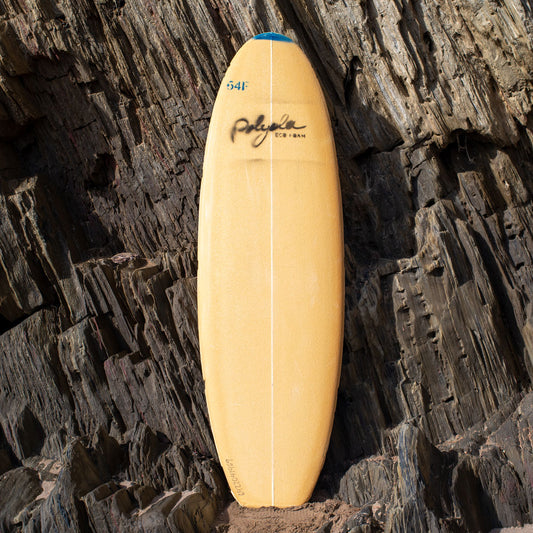 Polyola 6'4"F Fish Egg Eco Blank